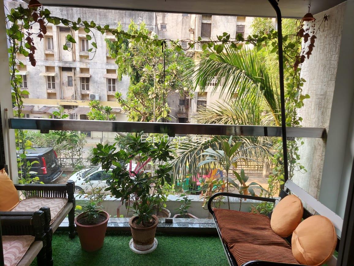 WhatsApp Image 2024-09-05 at 320240905155555805.jpeg